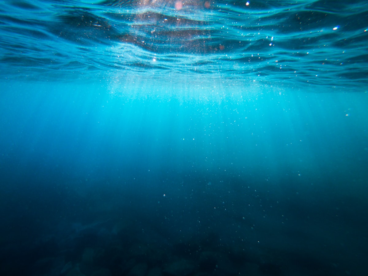 Diving with DiveBuddy