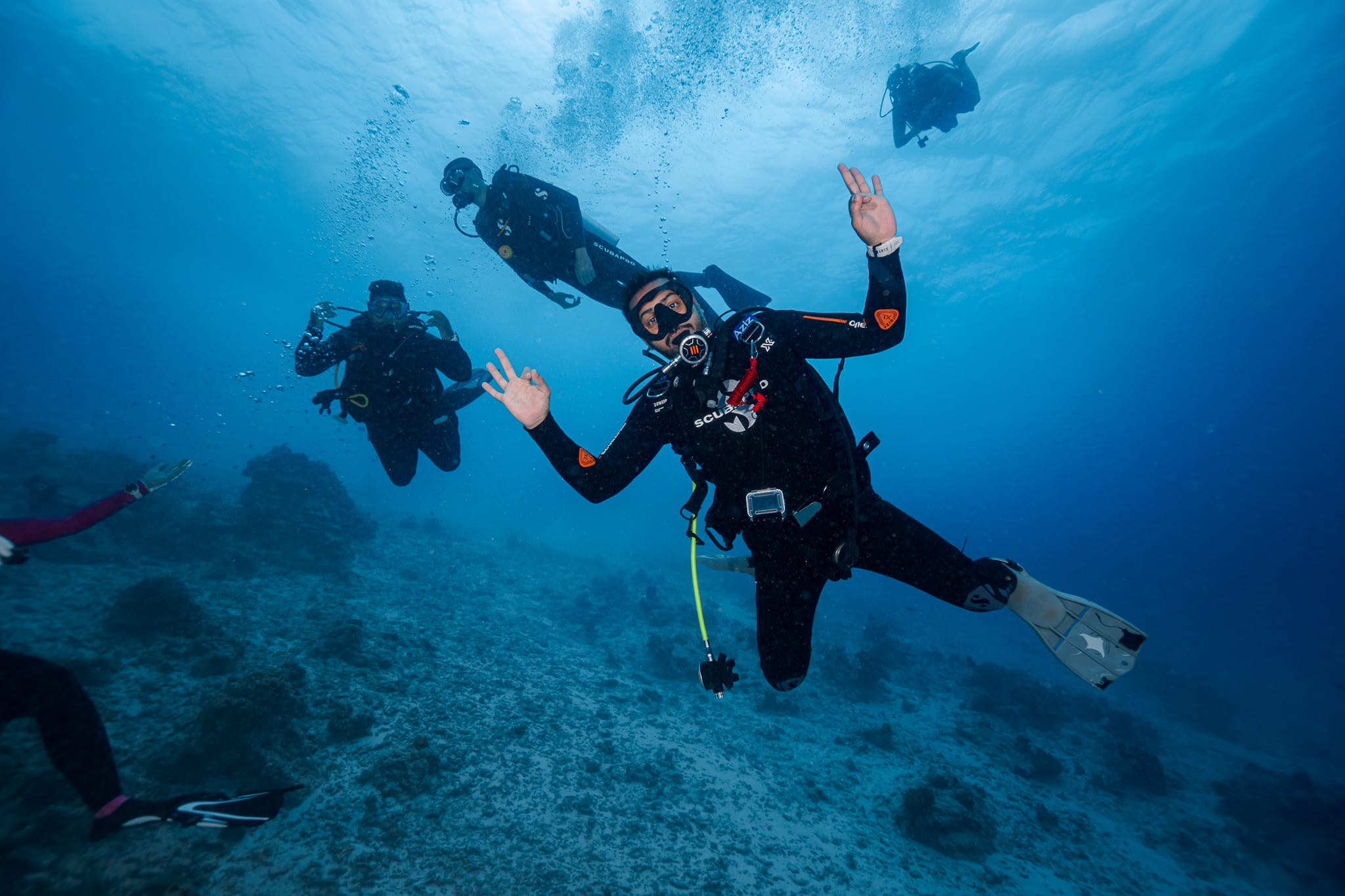 An underwater moment with DiveBuddy